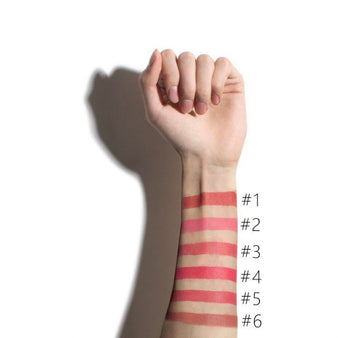 Captivating Matte Lipstick Set (12PCS/SET)