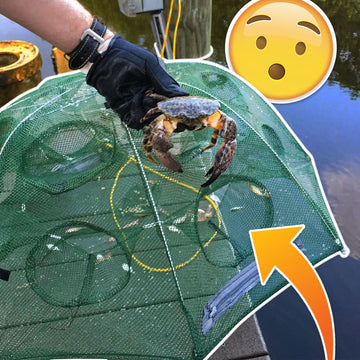 EasyCatch-Sinker Fishing Net